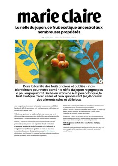 project cover